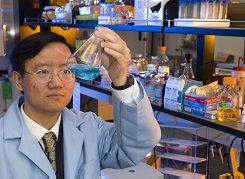 Polyester is just one of the potential bio-based products
